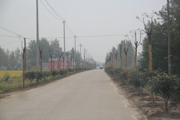 三是对天铜路的路灯进行一次维修,四是将清理整治延伸到村村通道