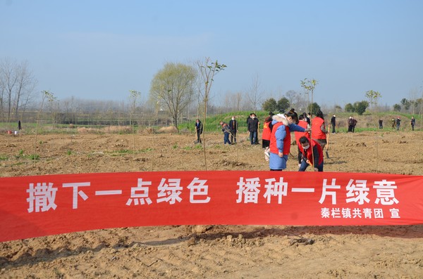参与植树节植树.jpg